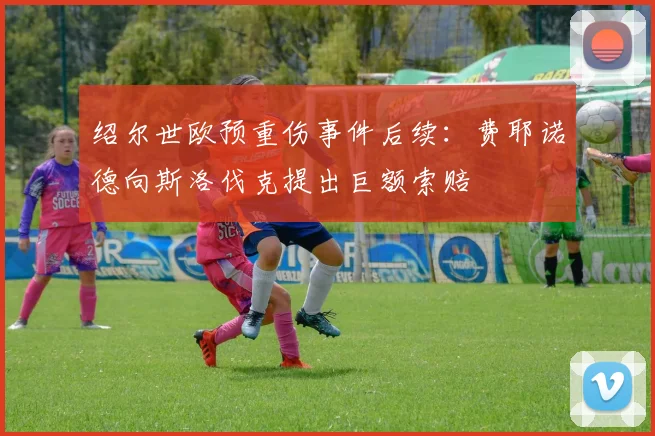 绍尔世欧预重伤事件后续:费耶诺德向斯洛伐克提出巨额索赔