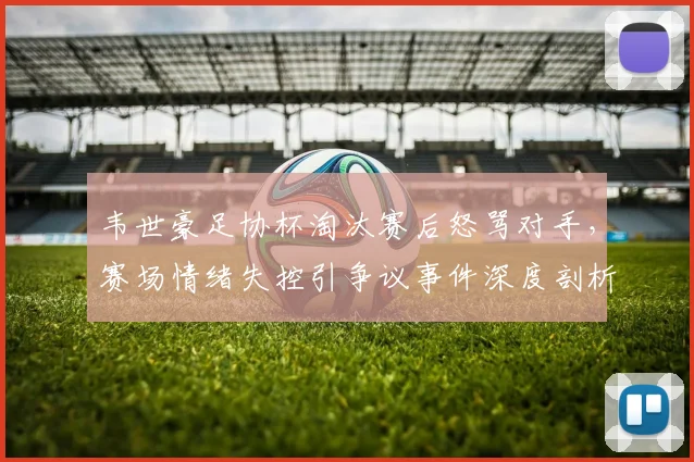 韦世豪足协杯淘汰赛后怒骂对手，赛场情绪失控引争议事件深度剖析
