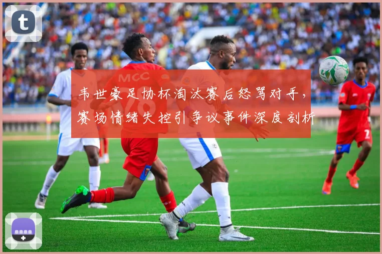 韦世豪足协杯淘汰赛后怒骂对手,赛场情绪失控引争议事件深度剖析