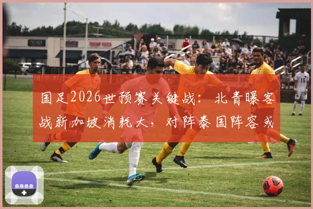 国足2026世预赛关键战：北青曝客战新加坡消耗大，对阵泰国阵容或轮换，出线形势分析
